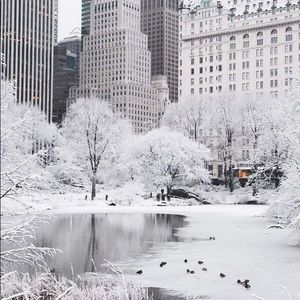 Meet your Posher, Carmen